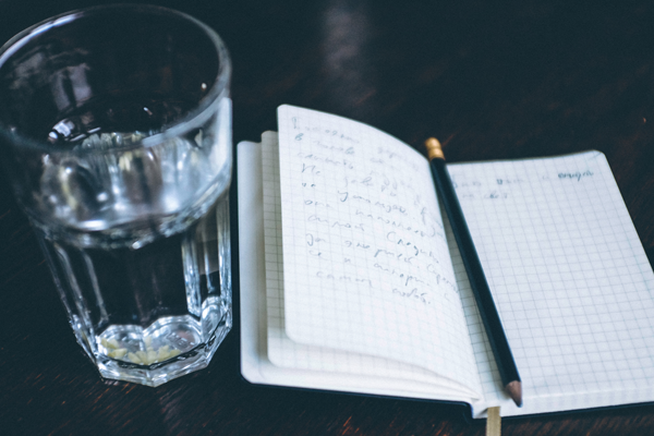 LA PROGRAMMAZIONE NELLA PA