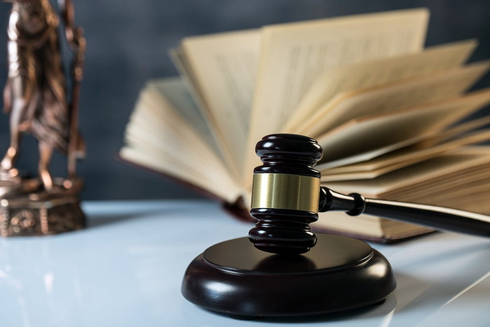 LA RESPONSABILITA’ DEGLI ENTI AI SENSI DEL DLGS 231/2001